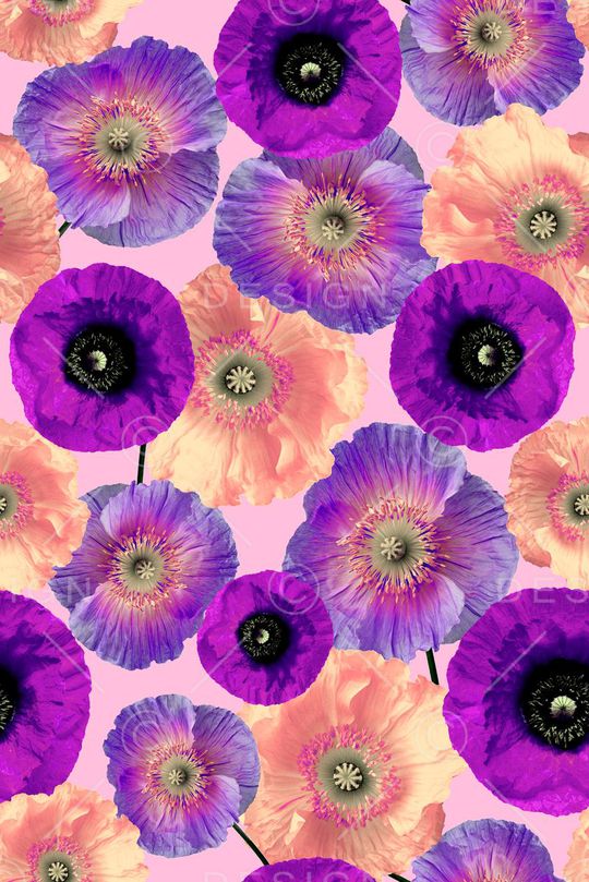 大花印花华亿平台图片