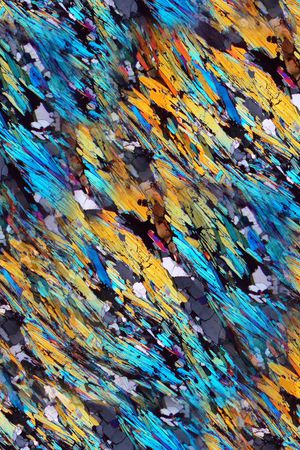 复古印花华亿平台图片