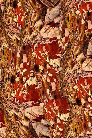 夹克华亿平台印花华亿平台图片