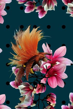 波点印花华亿平台图片