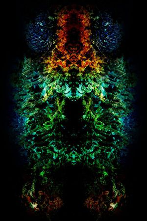 海底世界印花华亿平台图片