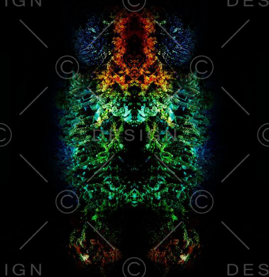 海底世界印花华亿平台图片