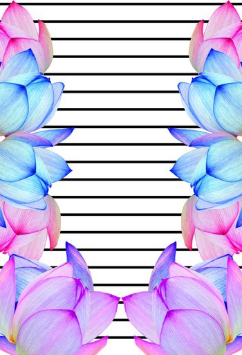 478264-欧美流行时尚手绘荷花数字运动风格 