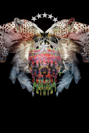 潮流时尚印花华亿平台图片