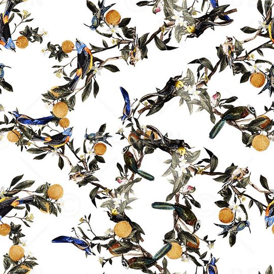 D&G印花华亿平台图片