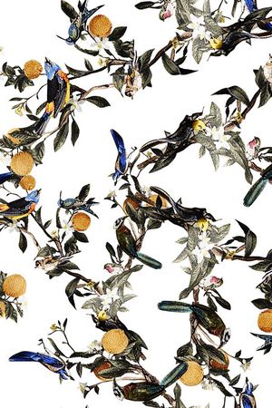 D&G印花华亿平台图片