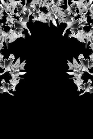 欧版印花华亿平台图片