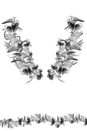 衬衫T恤外套卫衣花形印花华亿平台图片