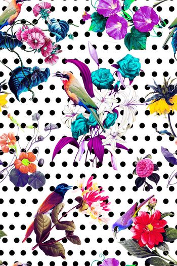 478392-时尚 华贵 花卉 鸟 圆点 组合 