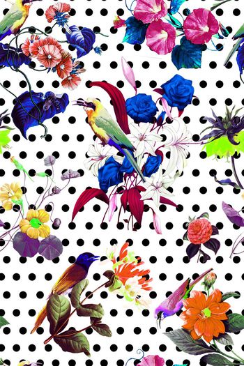 478393-时尚 华贵 花卉 鸟 圆点 组合 