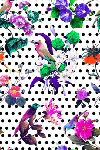 478394-时尚 华贵 花卉 鸟 圆点 组合 
