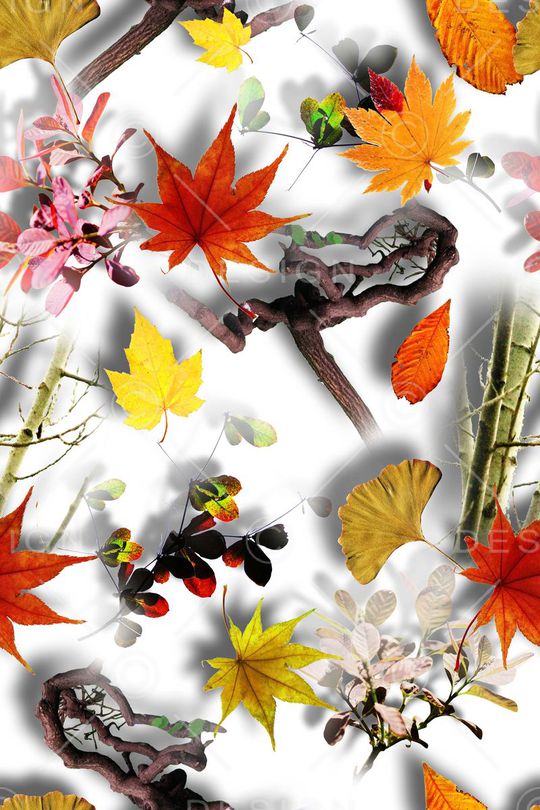 植物印花华亿平台图片