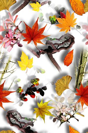 植物印花华亿平台图片