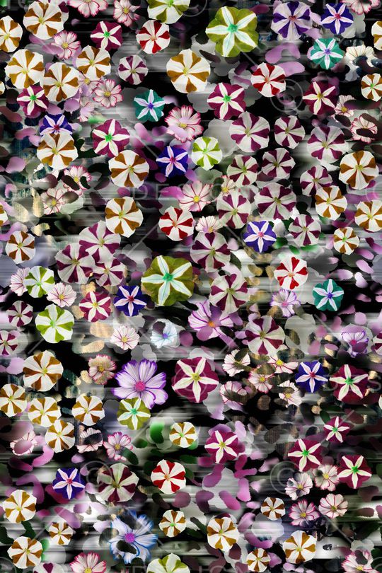 散花印花华亿平台图片