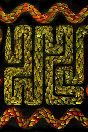 Animals印花华亿平台图片