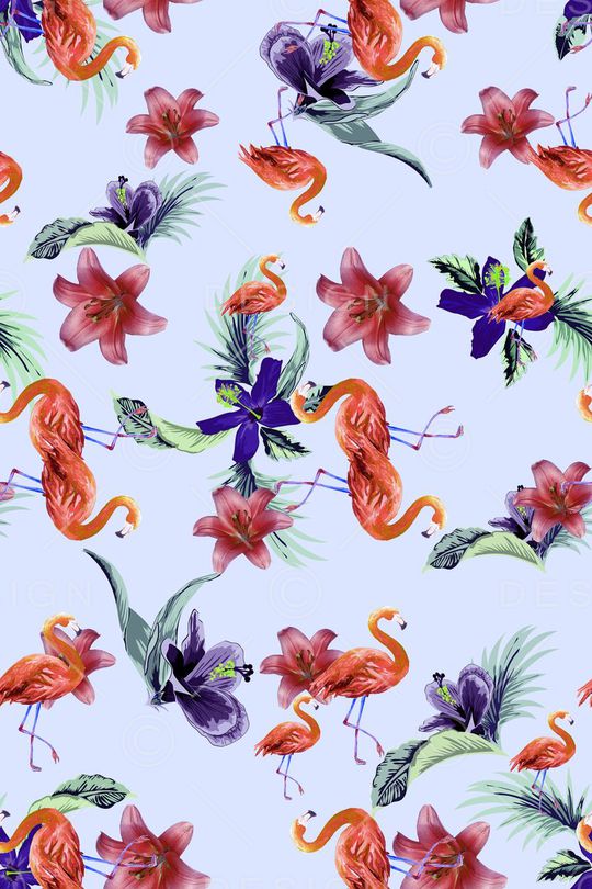 热带印花华亿平台图片