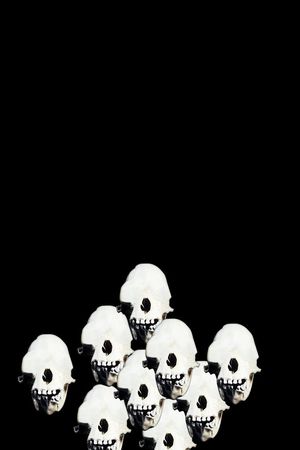 纪梵希GIVENCHY印花华亿平台图片