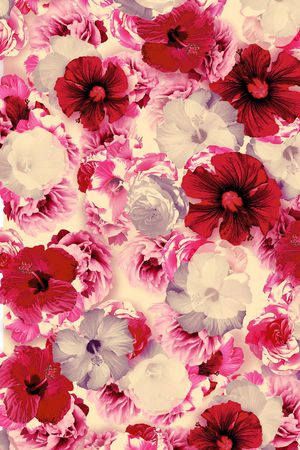 花卉写真印花华亿平台图片