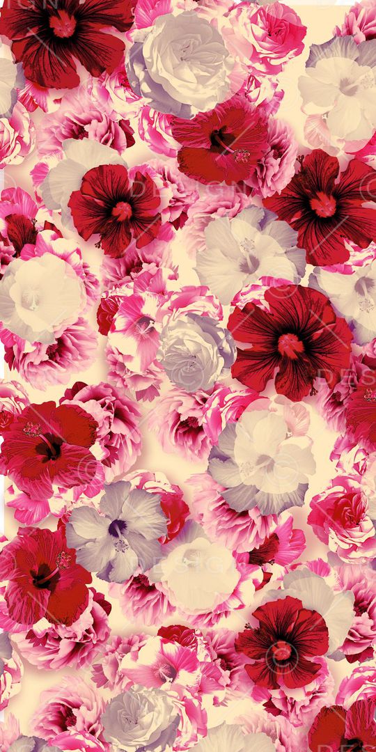 花卉写真印花华亿平台图片