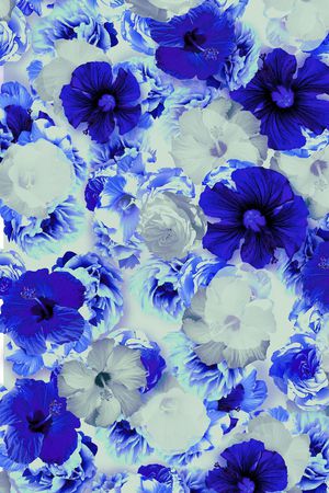 花卉写真印花华亿平台图片