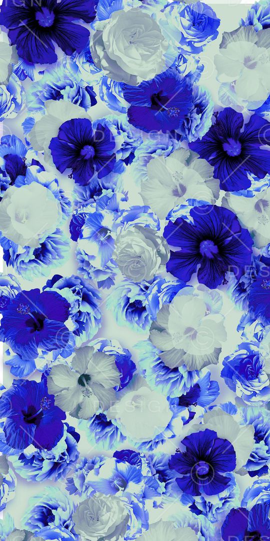 花卉写真印花华亿平台图片