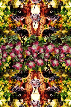 大自然印花华亿平台图片