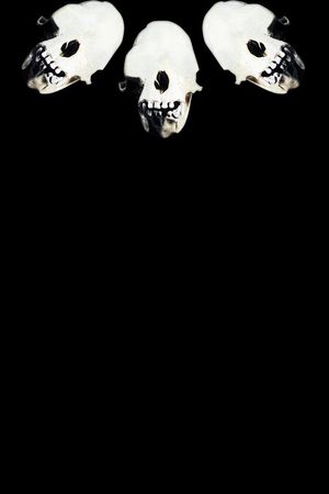 T恤卫衣印花华亿平台图片