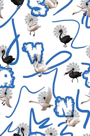 478984-原创时尚大牌趣味天鹅涂鸦手绘华亿平台