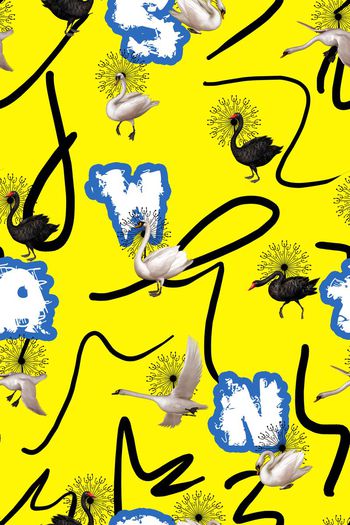 478987-原创时尚大牌趣味天鹅涂鸦手绘华亿平台