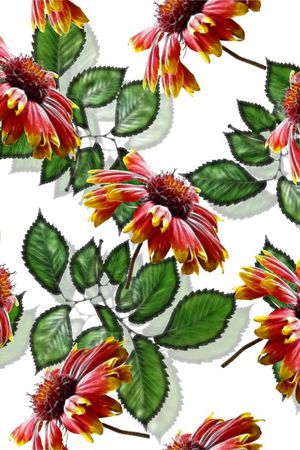 热带印花华亿平台图片