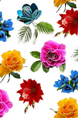 热带印花华亿平台图片