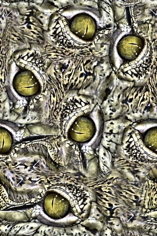 动物纹印花华亿平台图片