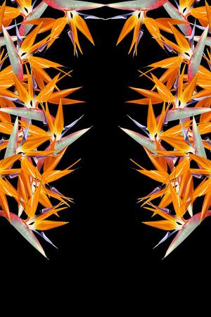 黄花印花华亿平台图片