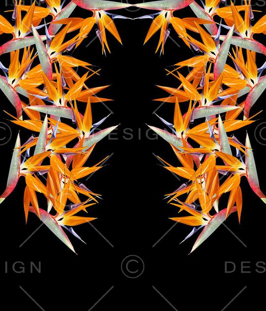 黄花印花华亿平台图片