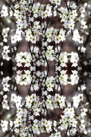 甜美 清新印花华亿平台图片