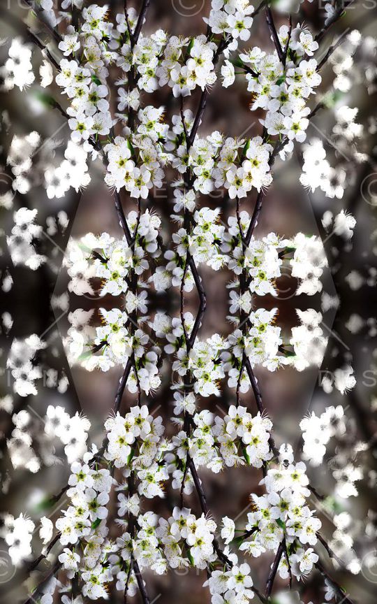 甜美 清新印花华亿平台图片