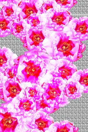 写意印花华亿平台图片