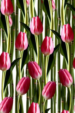 创意印花华亿平台图片