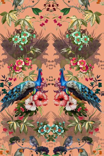 479535-森林系类孔雀鸟语花香