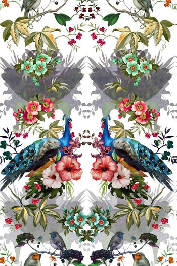 479537-森林系类孔雀鸟语花香