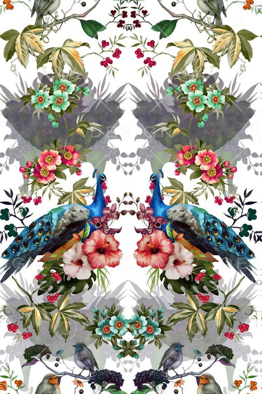 孔雀印花华亿平台图片