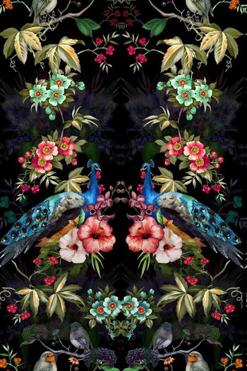 479542-森林系类孔雀鸟语花香