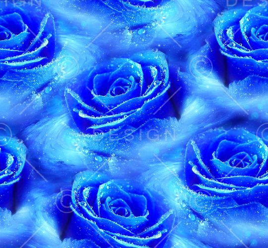 流行时尚印花华亿平台图片