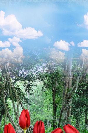 床品印花华亿平台图片