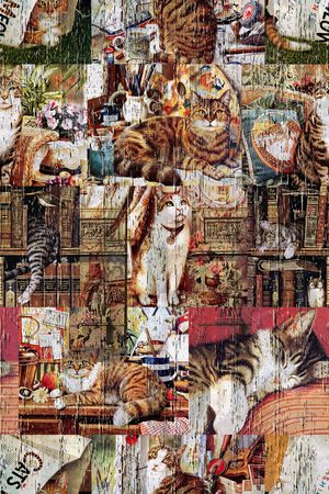 复古印花华亿平台图片