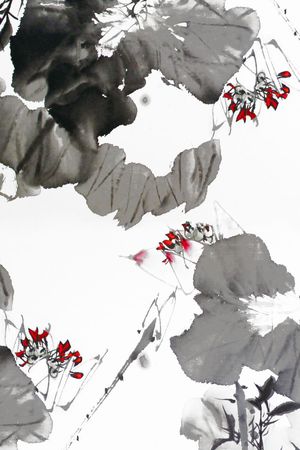 荷花印花华亿平台图片