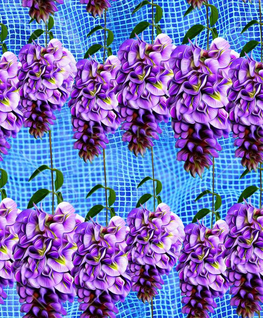 流行时尚印花华亿平台图片