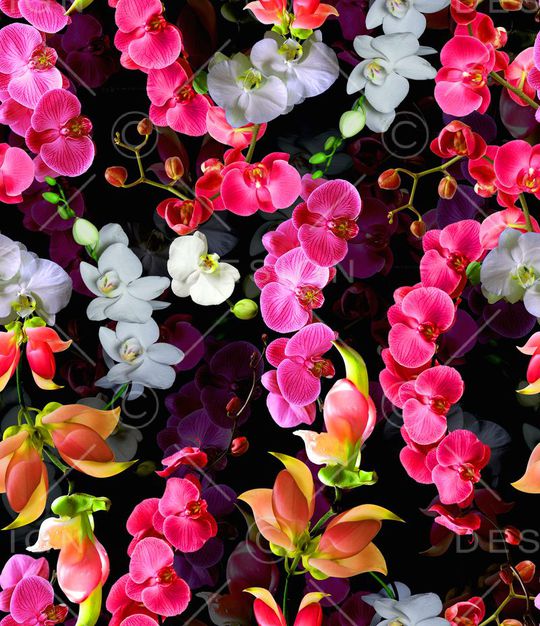 花藤蝴蝶兰花卉印花华亿平台图片