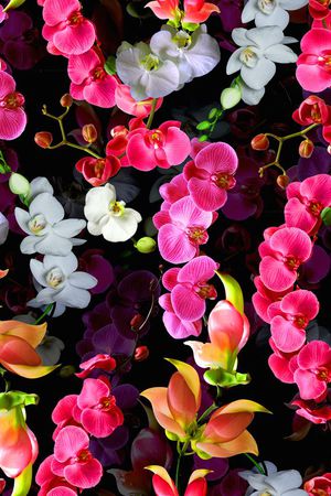 花藤蝴蝶兰花卉印花华亿平台图片