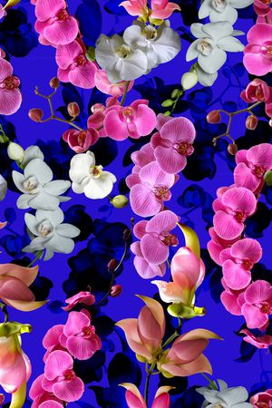 流行时尚印花华亿平台图片